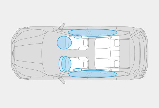 Supplemental Restraint System (SRS)<sup>*</sup> Airbags