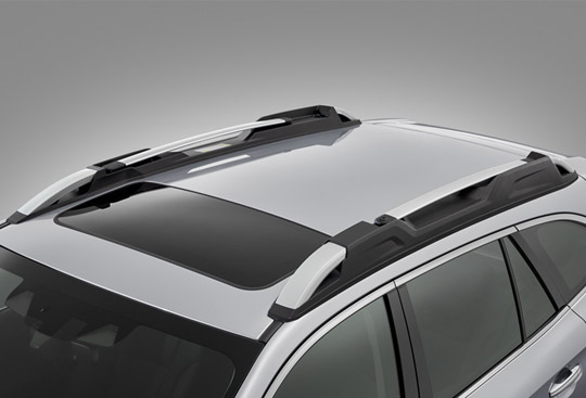 <sg-lang1>Rieles de techo con barra transversal</sg-lang1><sg-lang2></sg-lang2><sg-lang3></sg-lang3>