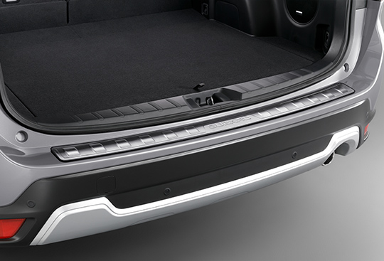 Protector de bumper trasero (inoxidable)