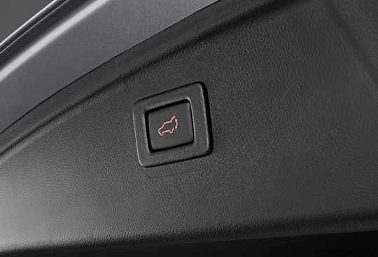 Power Rear Gate Switch